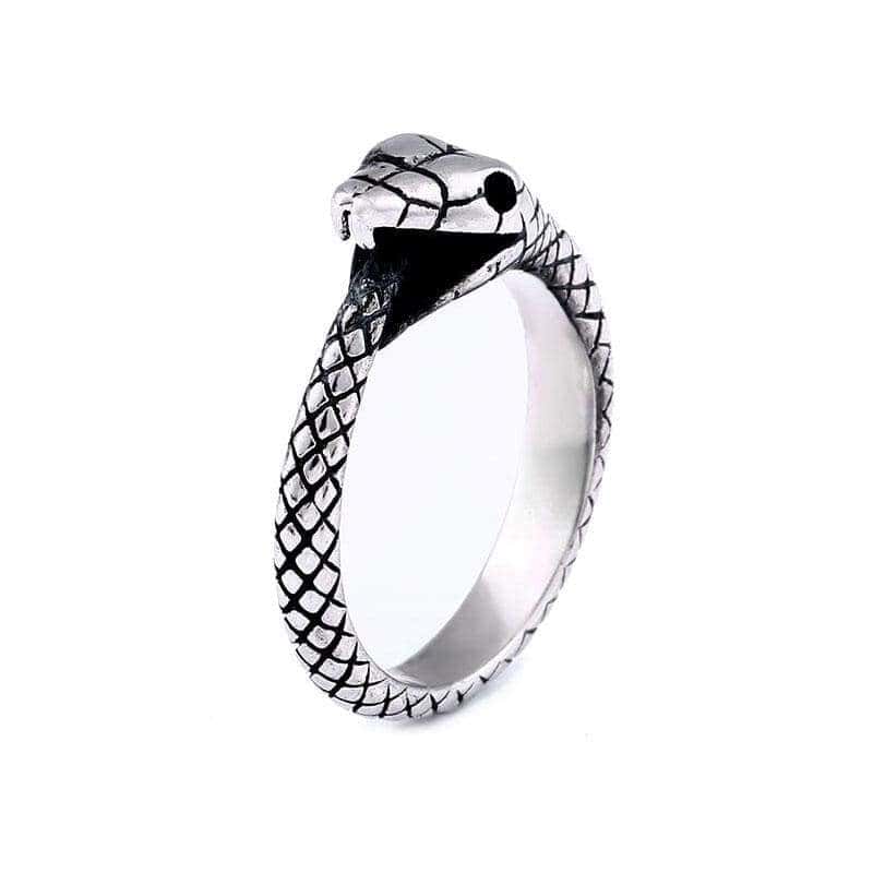 Anillo Serpiente Ouroboros (Acero)