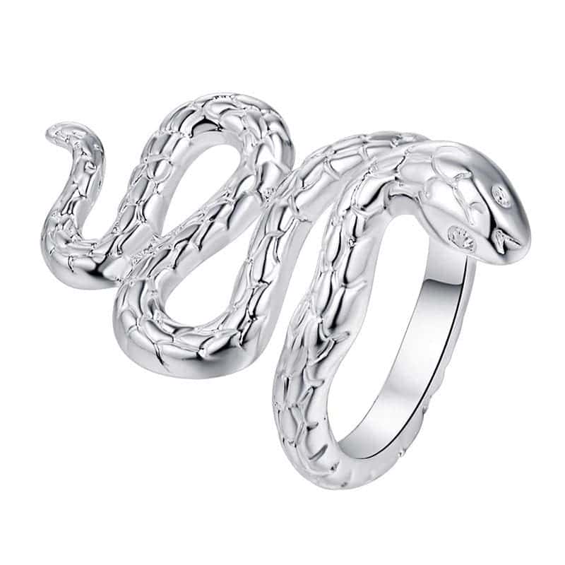 Anillo Serpiente Encanto (Plata)