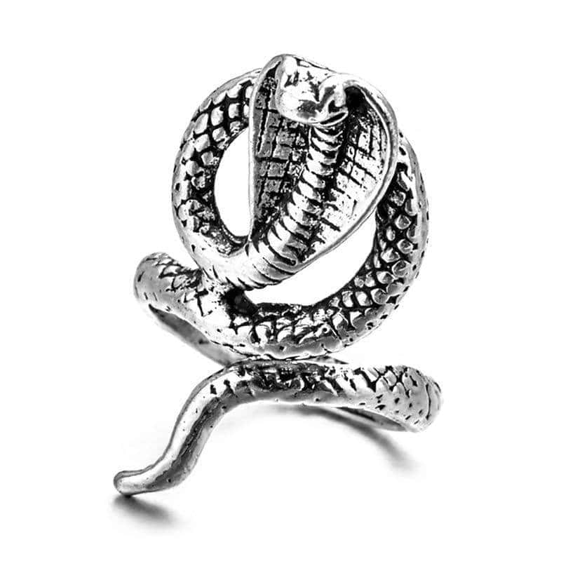 Anillo Serpiente Despertar (Acero)