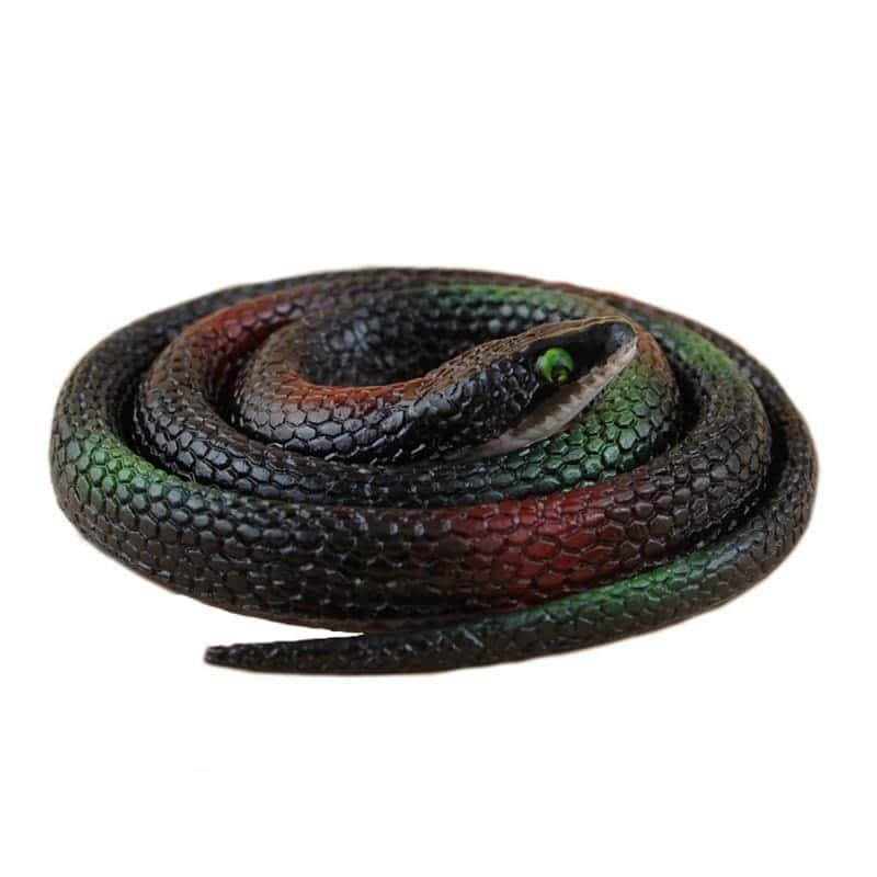 Falsa Serpiente Manchado Marrón