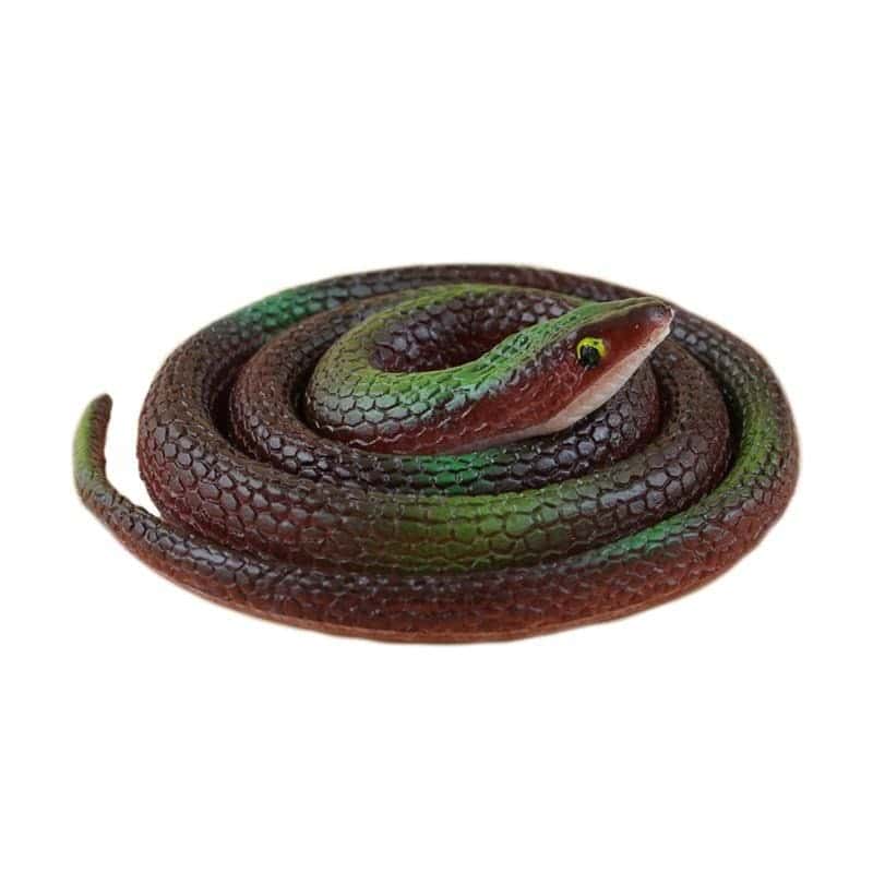 Falsa Serpiente Morena