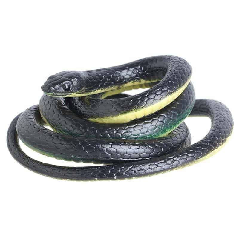 Falsa Serpiente Culebra