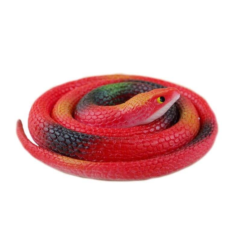 Falsa Serpiente Rojo