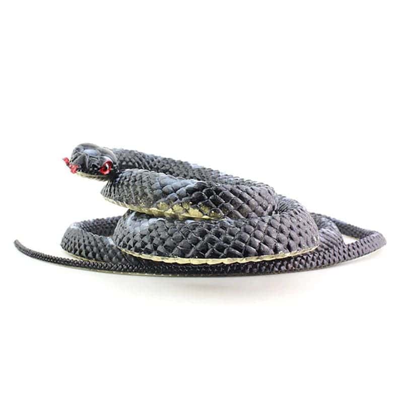 Falsa Serpiente Negro