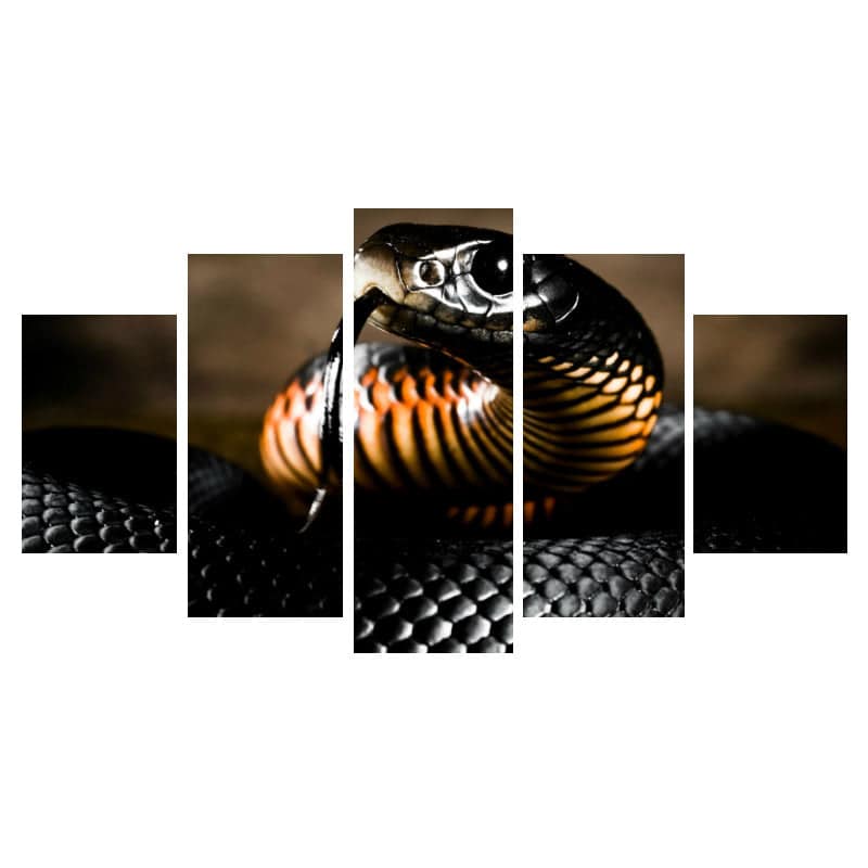 Cuadro De Serpiente Cobra