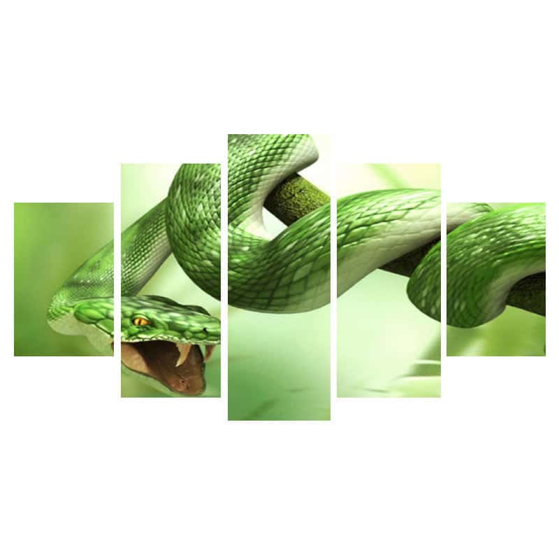 Cuadro De Serpiente Cascabel Verde